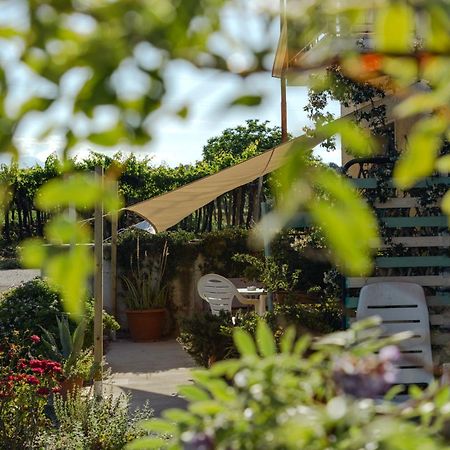 Pollutri B&B La Ciammaruca מראה חיצוני תמונה