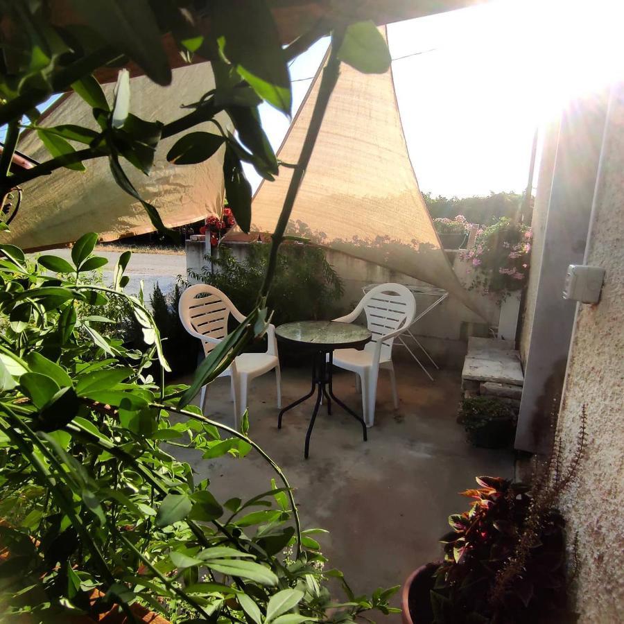 Pollutri B&B La Ciammaruca מראה חיצוני תמונה