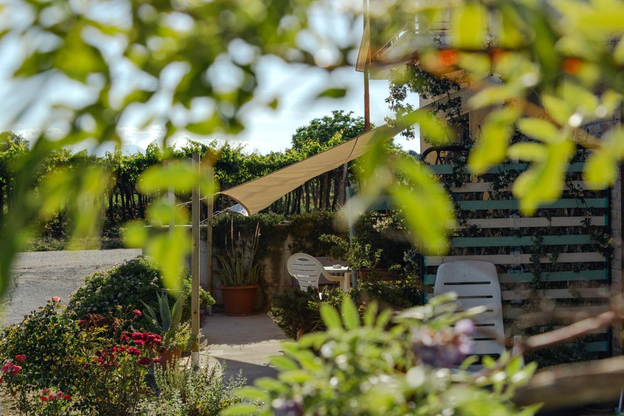 Pollutri B&B La Ciammaruca מראה חיצוני תמונה